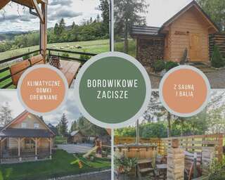 Дома для отпуска Borowikowe Zacisze drewniane domy z dostępem do balii i sauny Falsztyn Дом с 2 спальнями-17